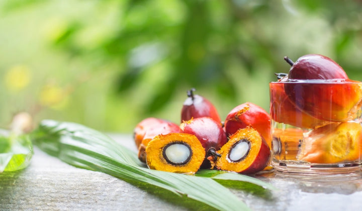 Why Palm Oil Is Bad?