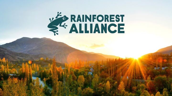 The Impact of the Rainforest Alliance: A Deep Dive