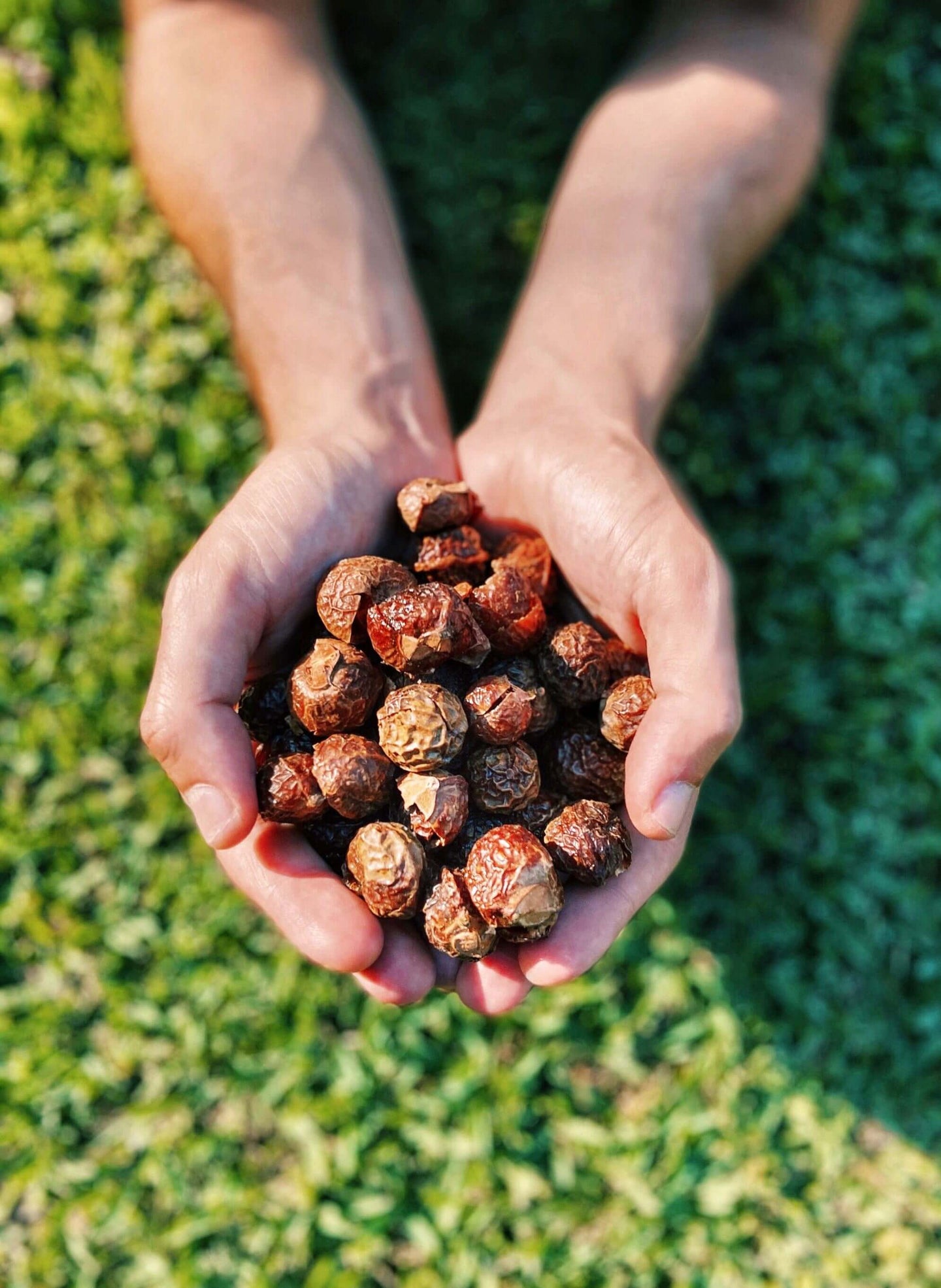 Eco Nuts.